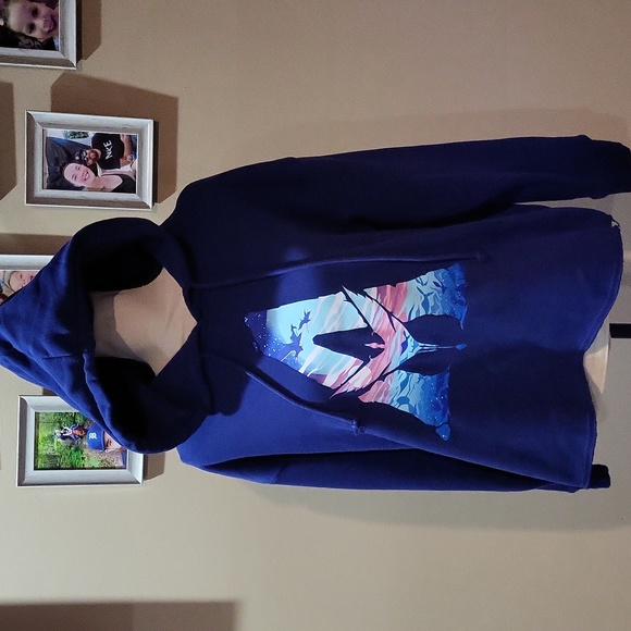 Avatar Hoodie 💙 - Picture 1 of 11